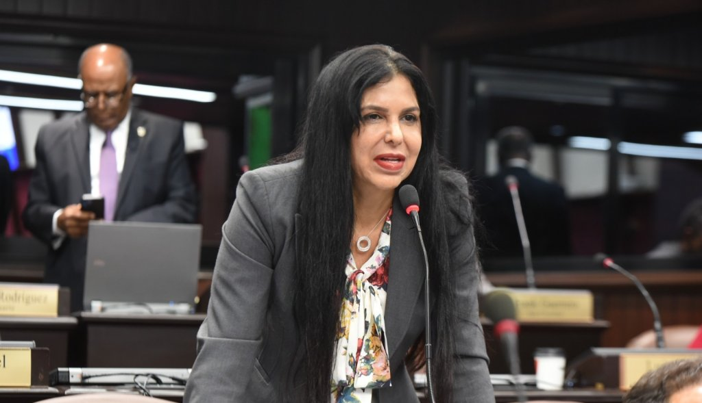 Rosa Amalia Pilarte L&oacute;pez, exdiputada del PRM. Imagen externa