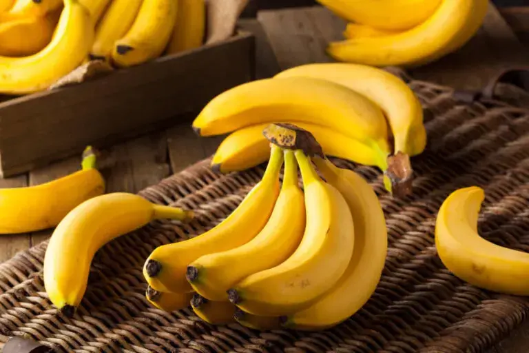 Rep&uacute;blica Dominicana enfrenta p&eacute;rdida de terreno como exportador de banano, seg&uacute;n Adobanano