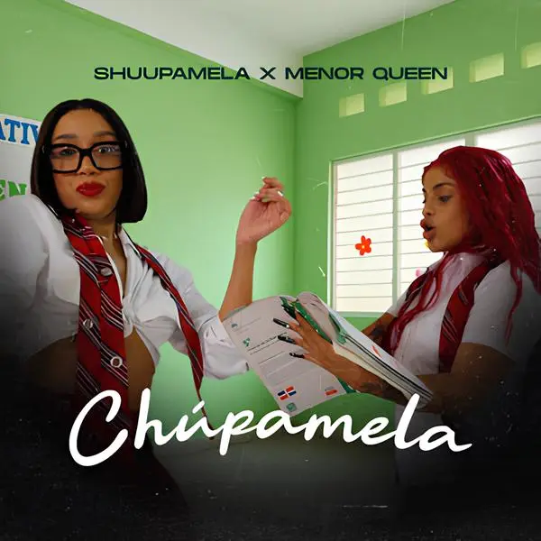 Ministerio de Educaci&oacute;n somete a investigaci&oacute;n video vulgar presuntamente filmado en escuela p&uacute;blica