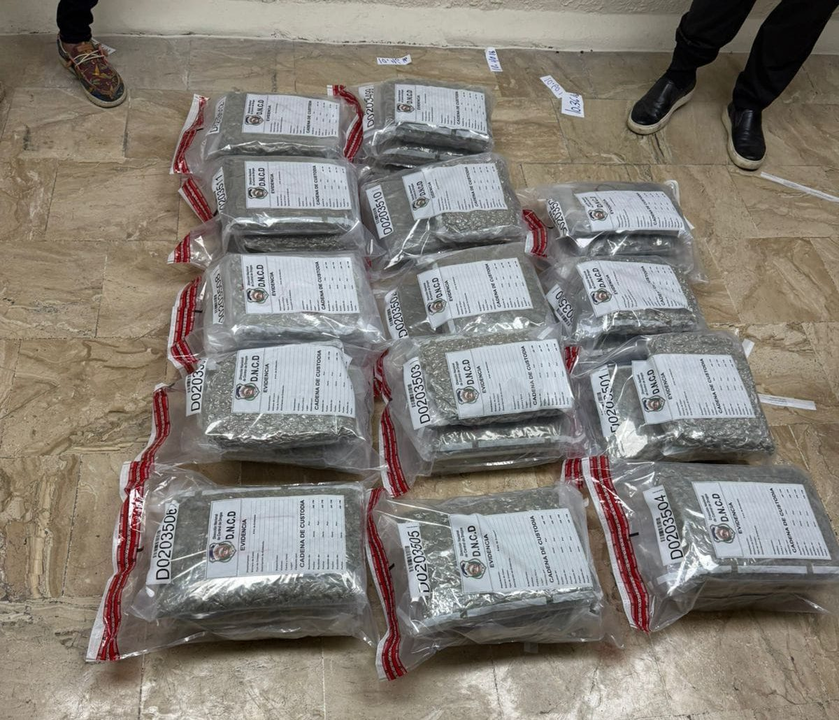 42 paquetes de presunta marihuana incautados en el Aeropuerto de Punta Cana | Foto: DNCD