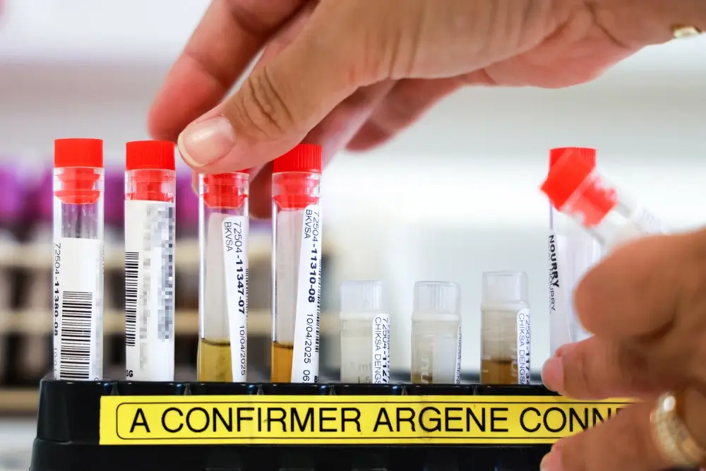 Confirman primer caso local de chikungu&ntilde;a en Nueva York | FOTO EXTERNA