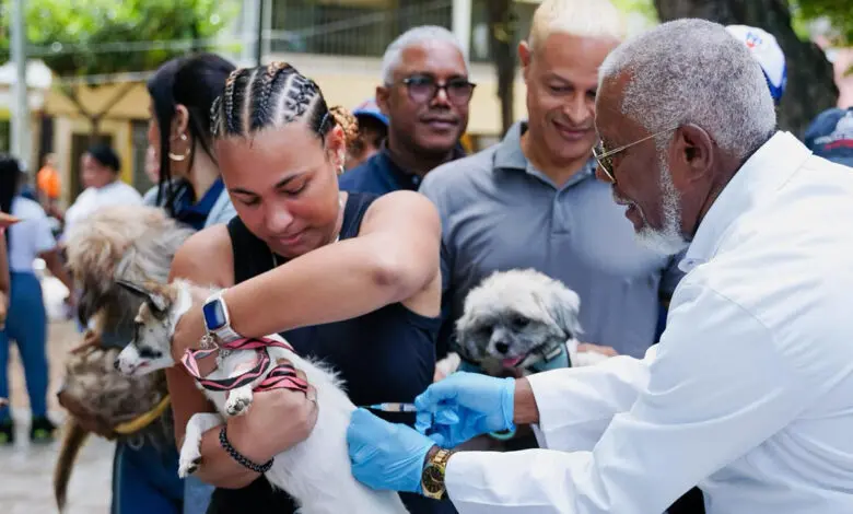 El operativo coordinado por Cecovez busca eliminar la rabia transmitida por perros antes de 2030 | FOTO EXTERNA