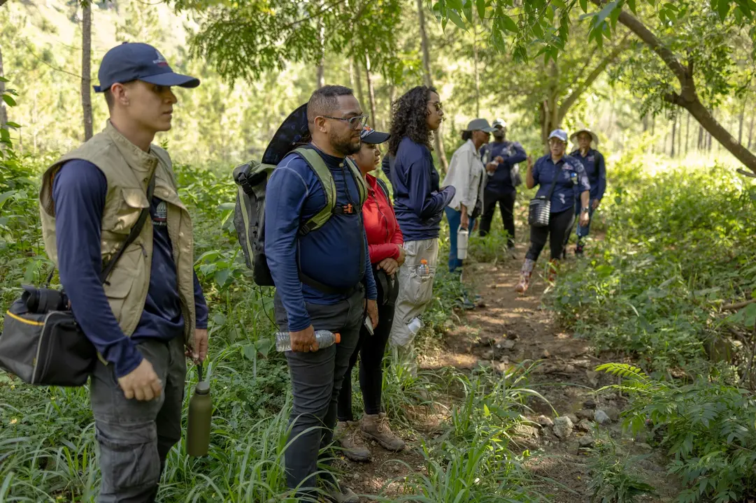 Gu&iacute;as locales y t&eacute;cnicos del Ministerio de Medio Ambiente iniciando la jornada de reforestaci&oacute;n cerca de la zona de acampar de Palomino. | FOTO EXTERNA