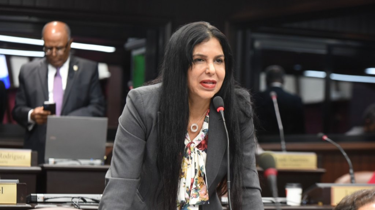 Rosa Amalia Pilarte L&oacute;pez, exdiputada del PRM. Imagen externa