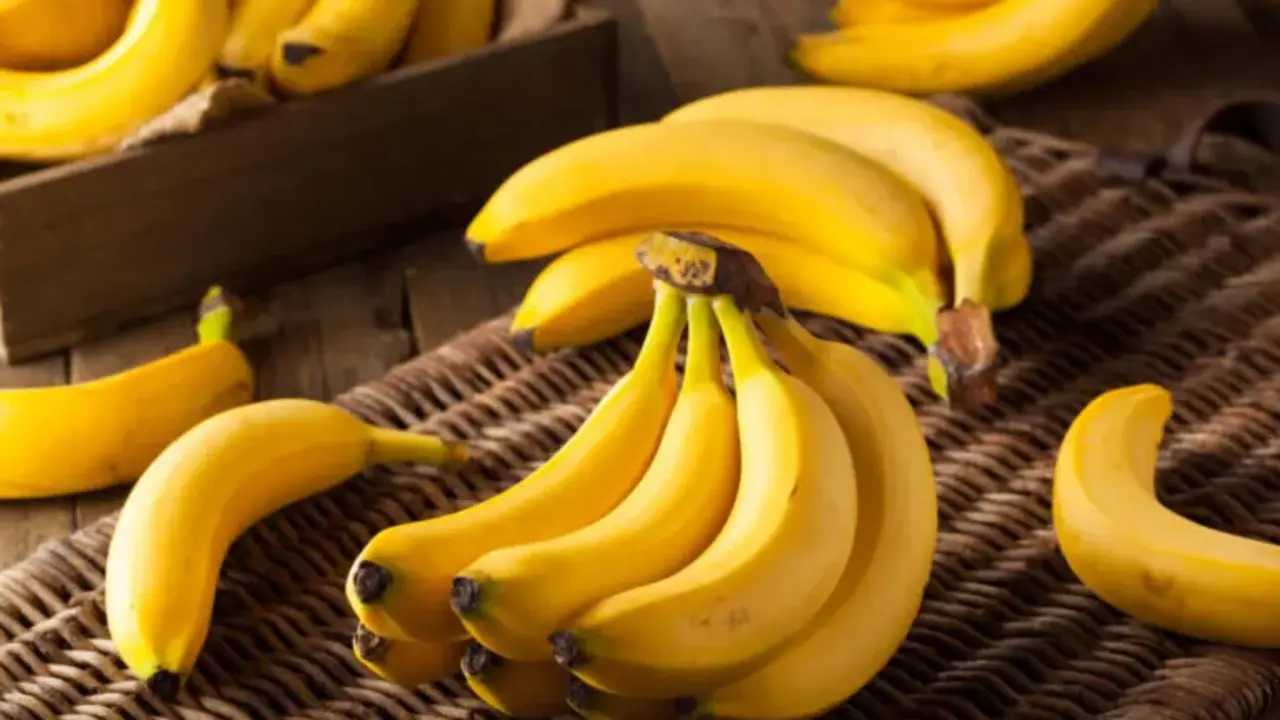 Rep&uacute;blica Dominicana enfrenta p&eacute;rdida de terreno como exportador de banano, seg&uacute;n Adobanano