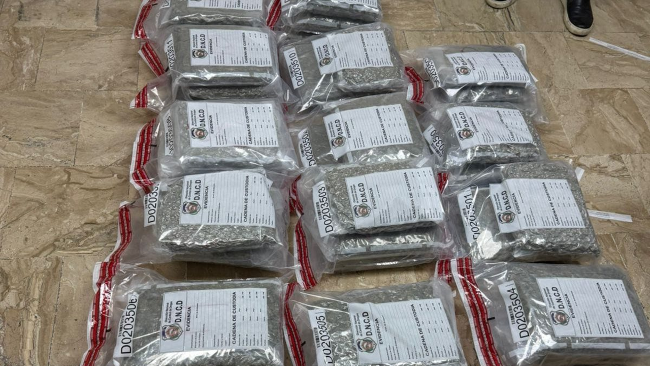 42 paquetes de presunta marihuana incautados en el Aeropuerto de Punta Cana | Foto: DNCD