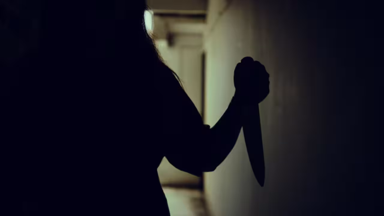 IMAGEN ALUSIVA A FEMENINA CRIMINAL